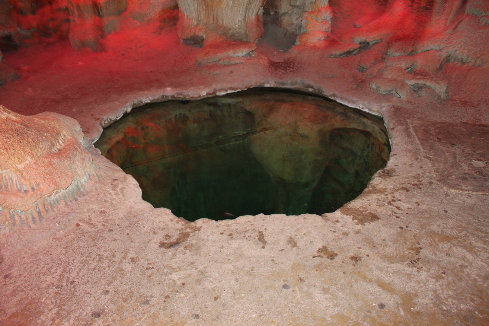 Blind Cave Fish Pool - Kingdoms of the Night