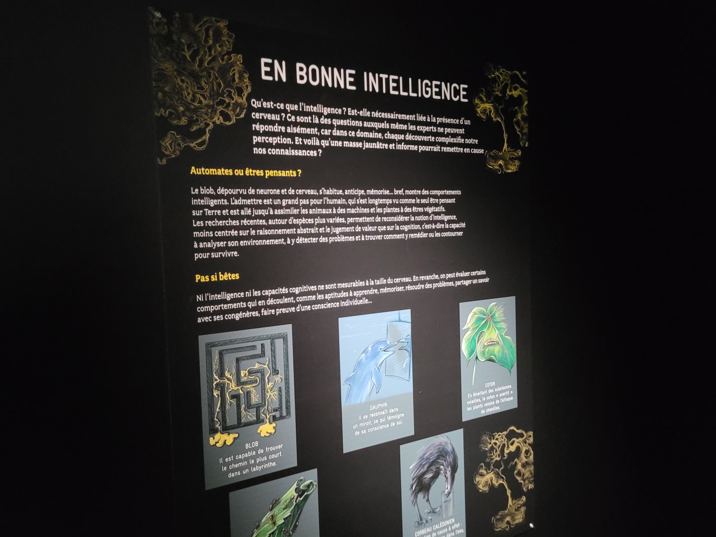 Blob sign -Parc Zoologique de Paris (2022)