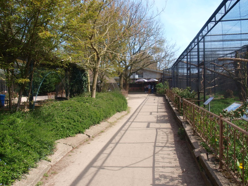 Block of aviaries (April 19th, 2015)