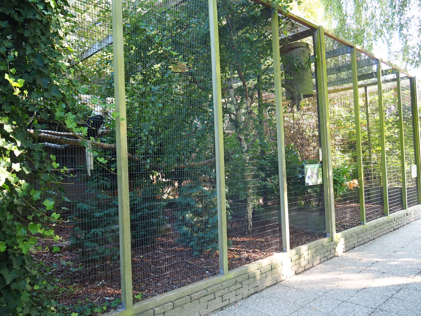 Block of aviaries (Sep 2nd, 2018)