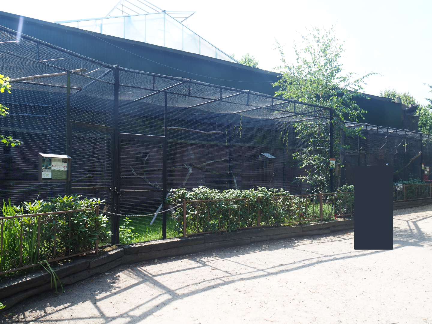 Block of aviaries with mostly larger parrots and some other birds outside the tropical house, 2019-08-04