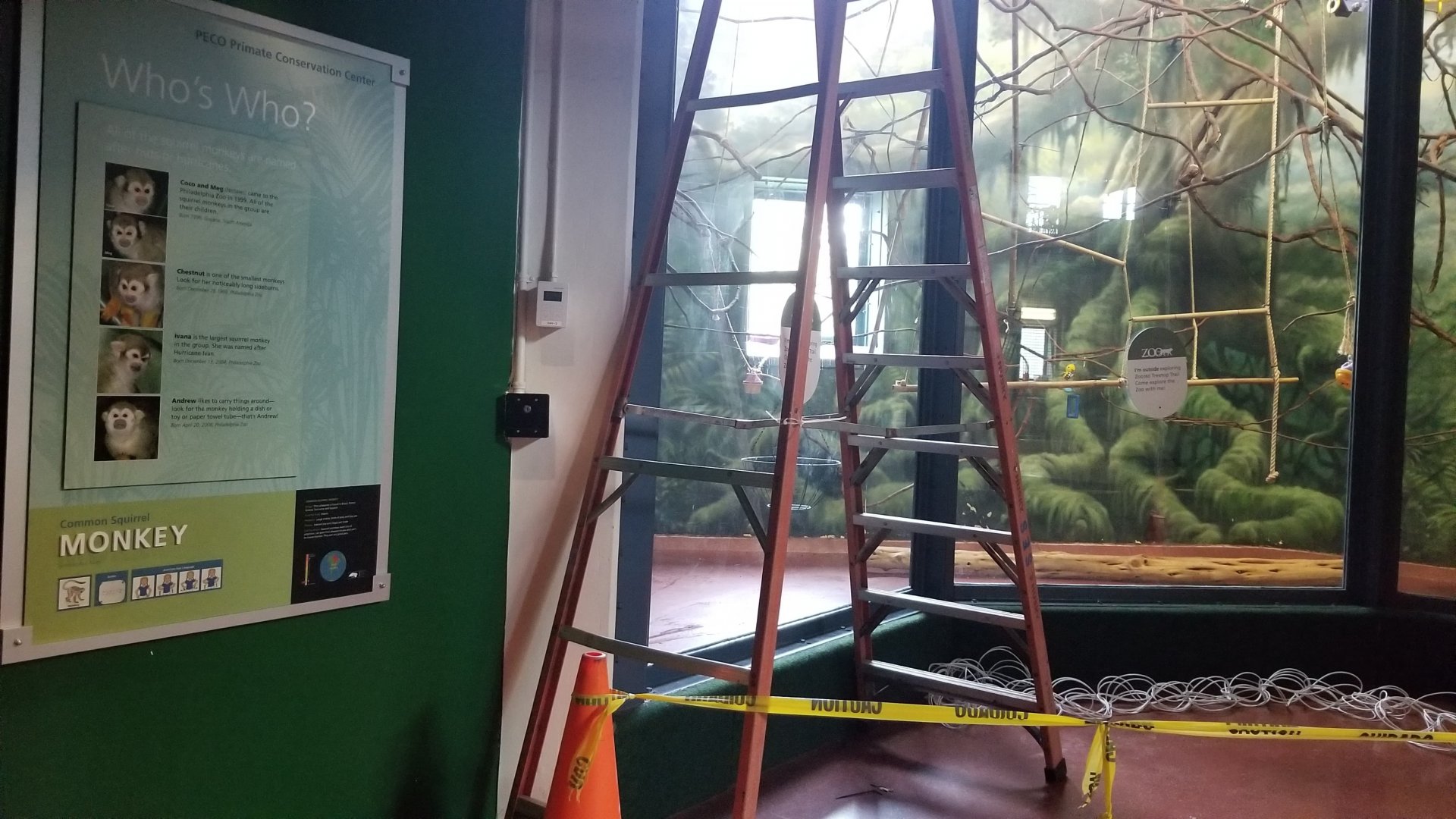 Blocked off Common Squirrel Monkey exhibit