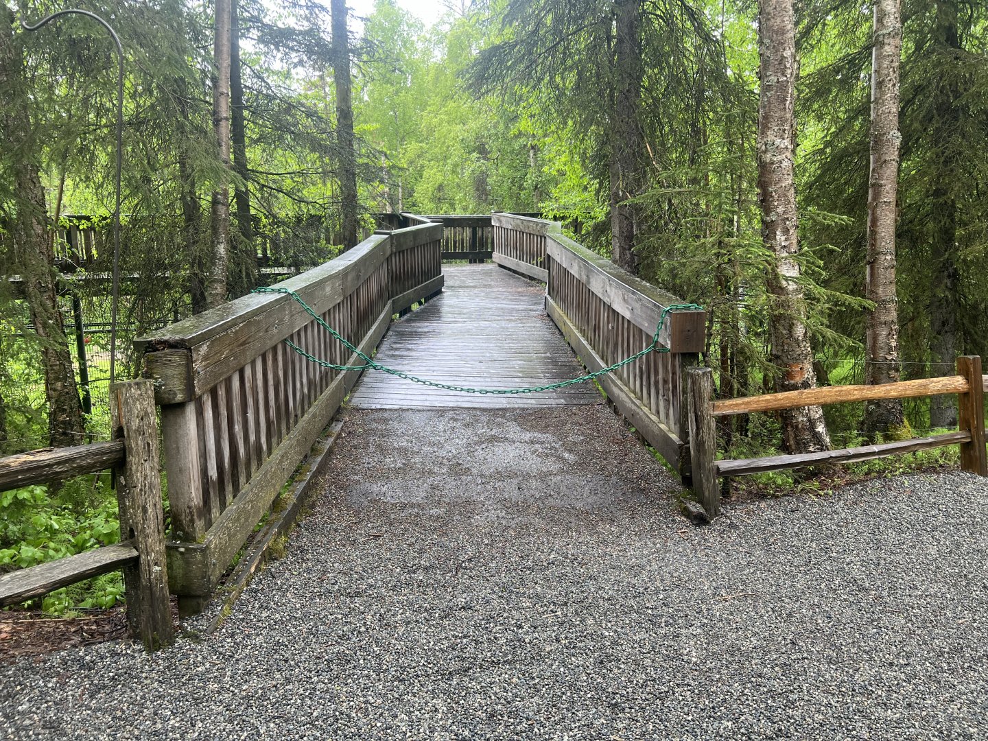 Blocked path to Amur Tiger Overlook