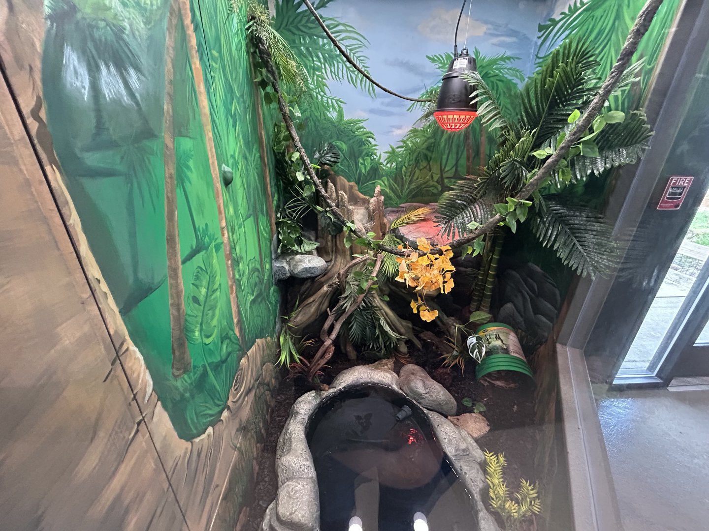 Blood Python Exhibit