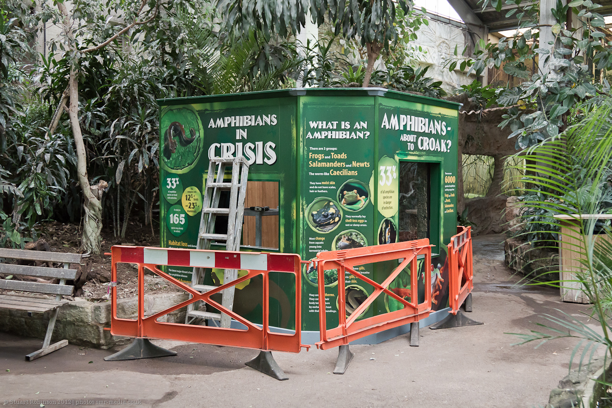 Blot on the Tropical Landscape - 24/01/2012