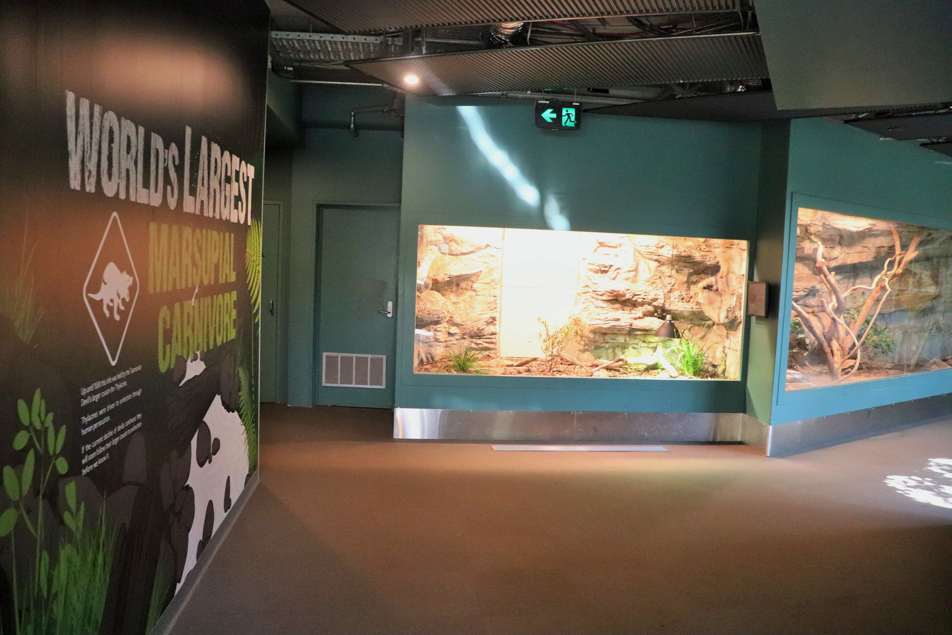 Blotched Blue-tongue Lizard Enclosure