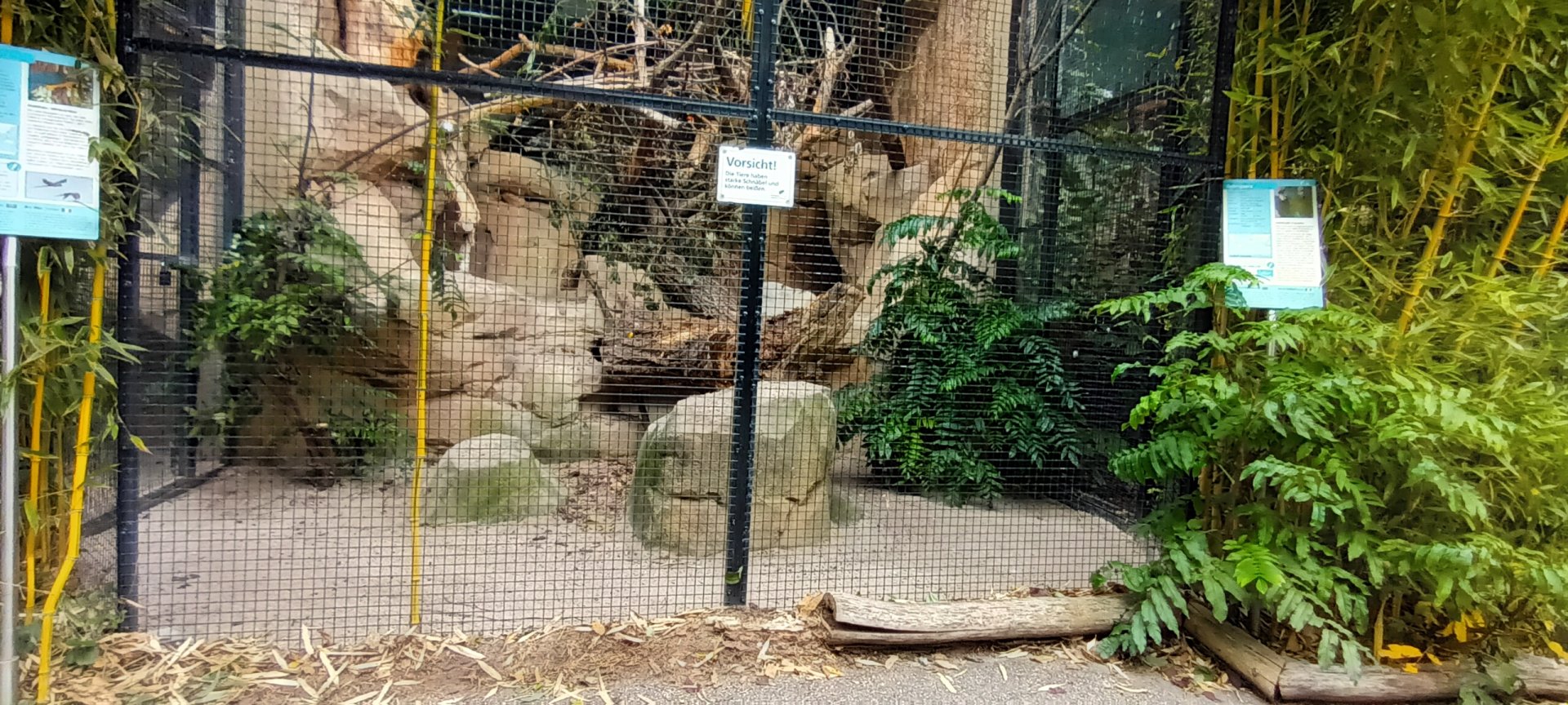 Blue and gold Macaw and Blue headed Macaw Aviary