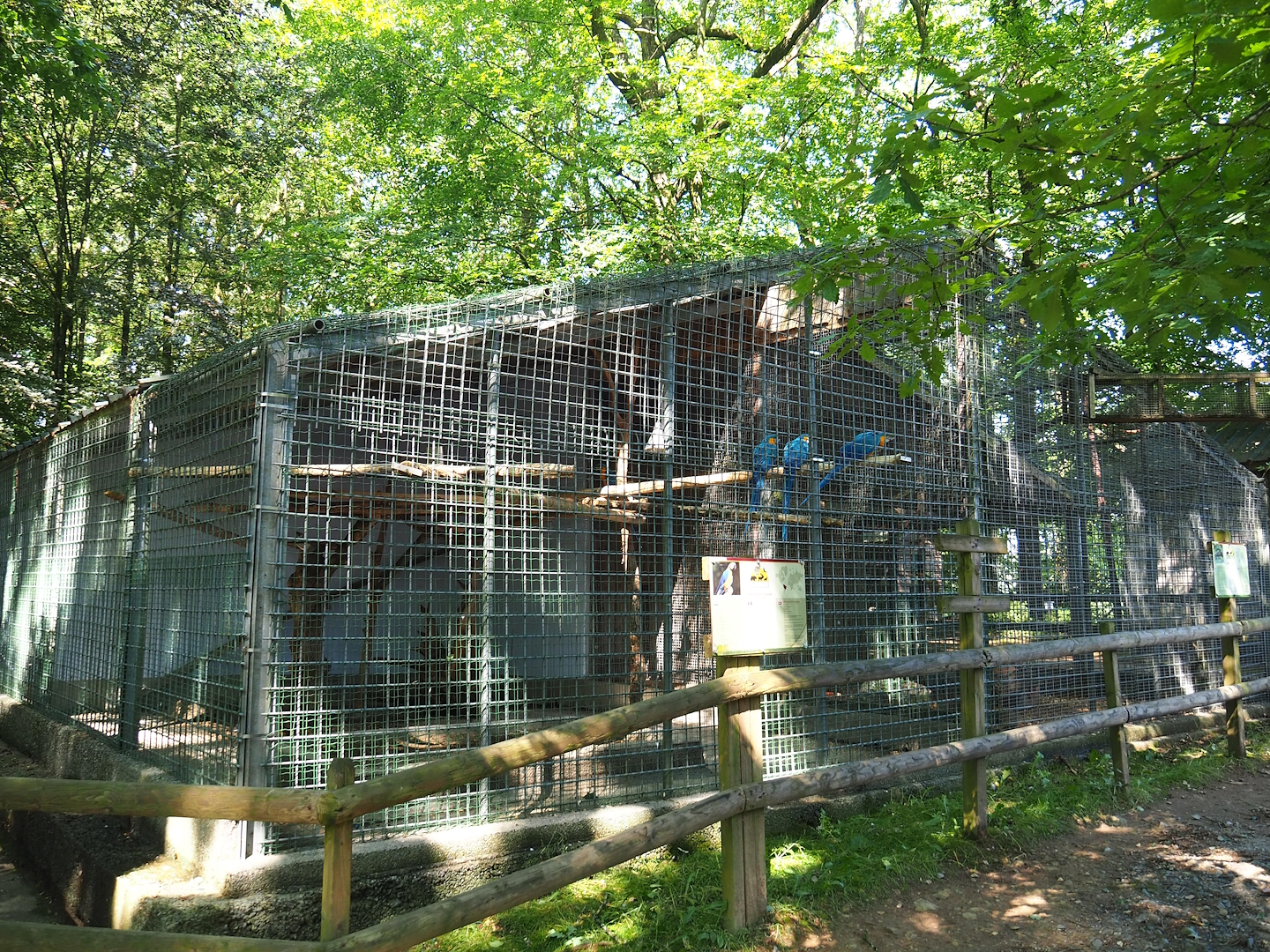 Blue-and-gold macaw aviary and Squirrel monkey/Agouti exhibit, 2023-06-24