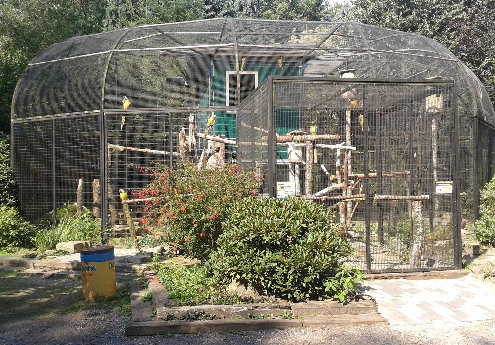 Blue and Gold macaw aviary