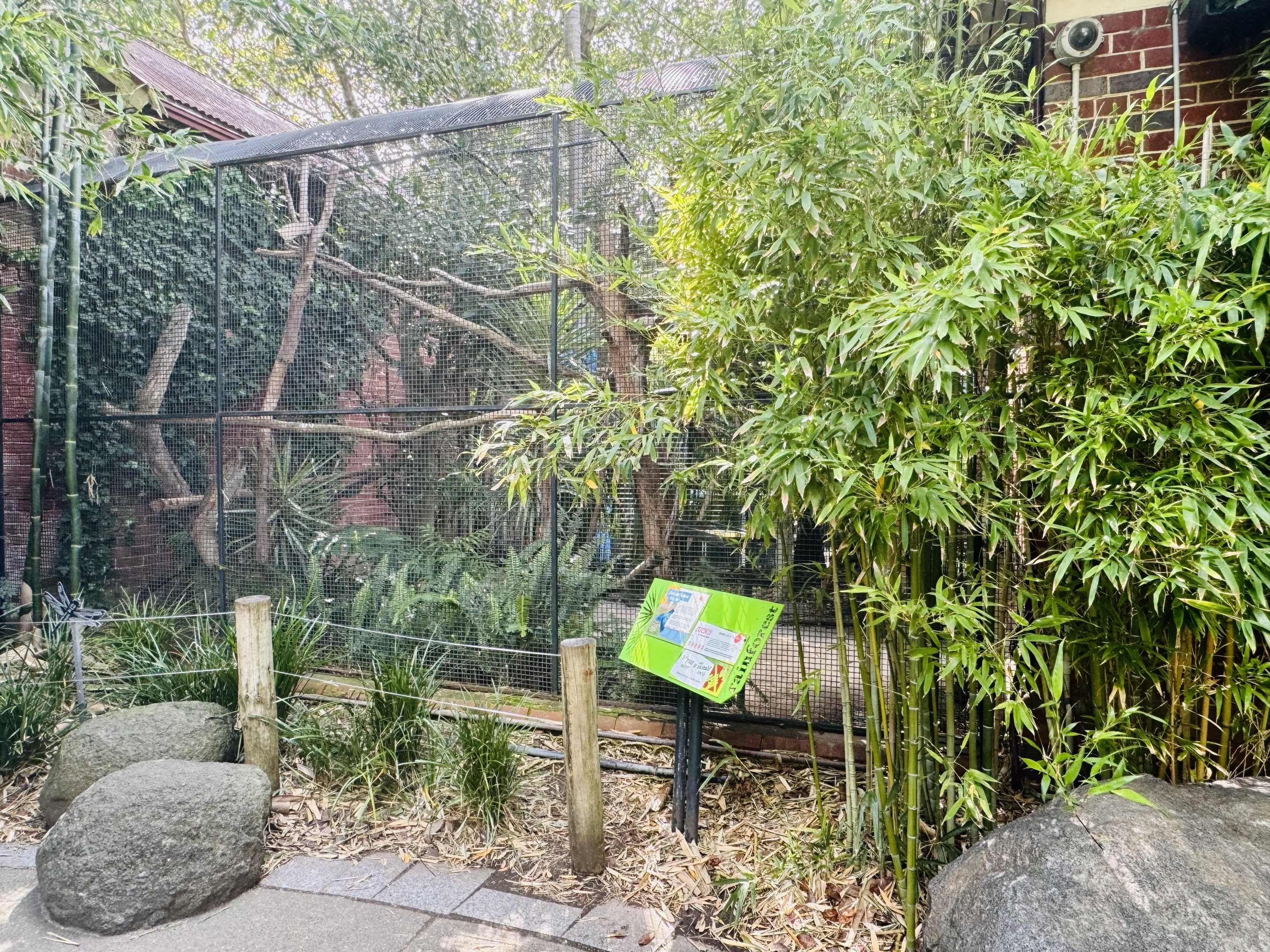 Blue and Gold Macaw aviary