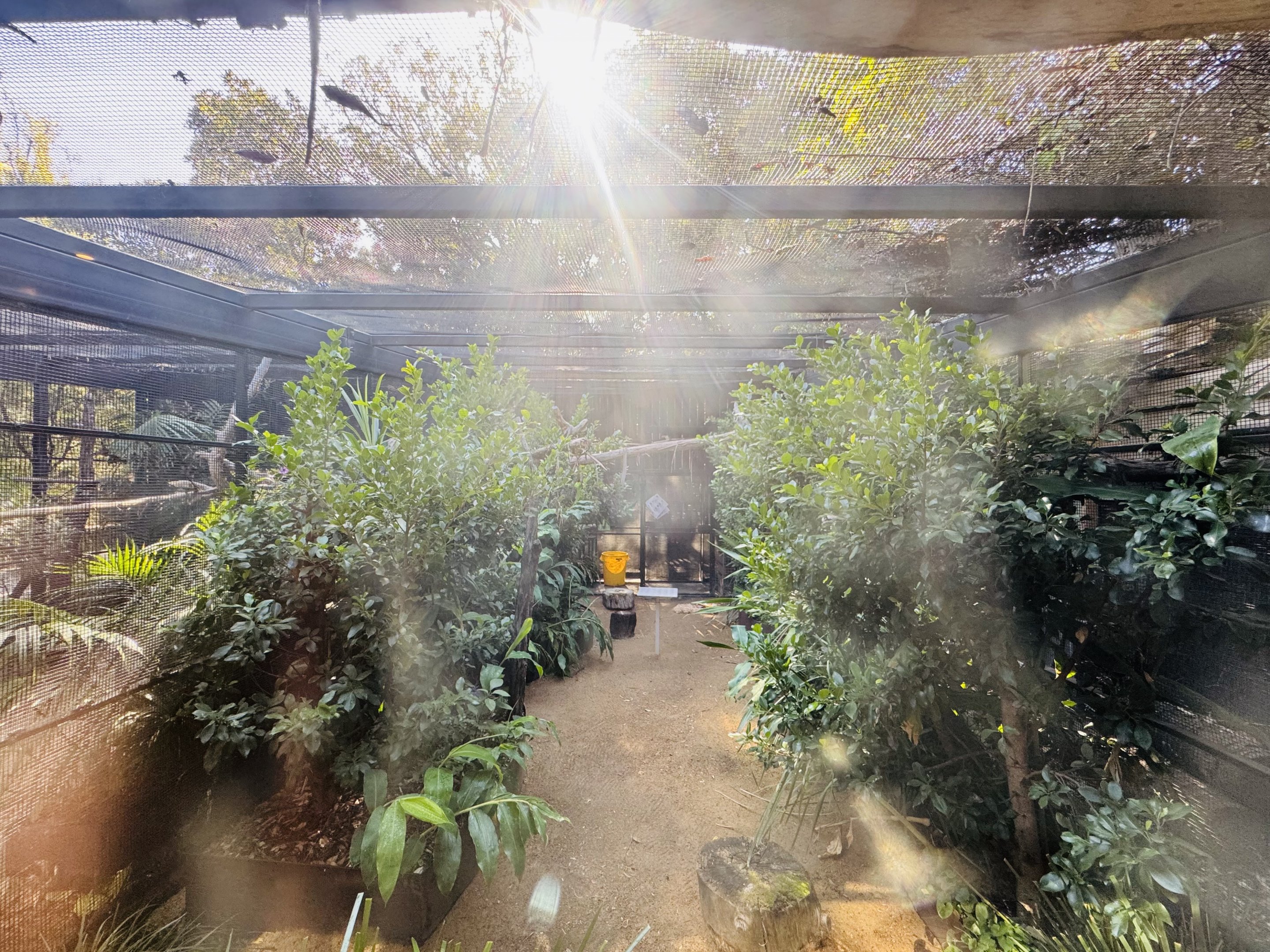 Blue and Gold Macaw enclosure