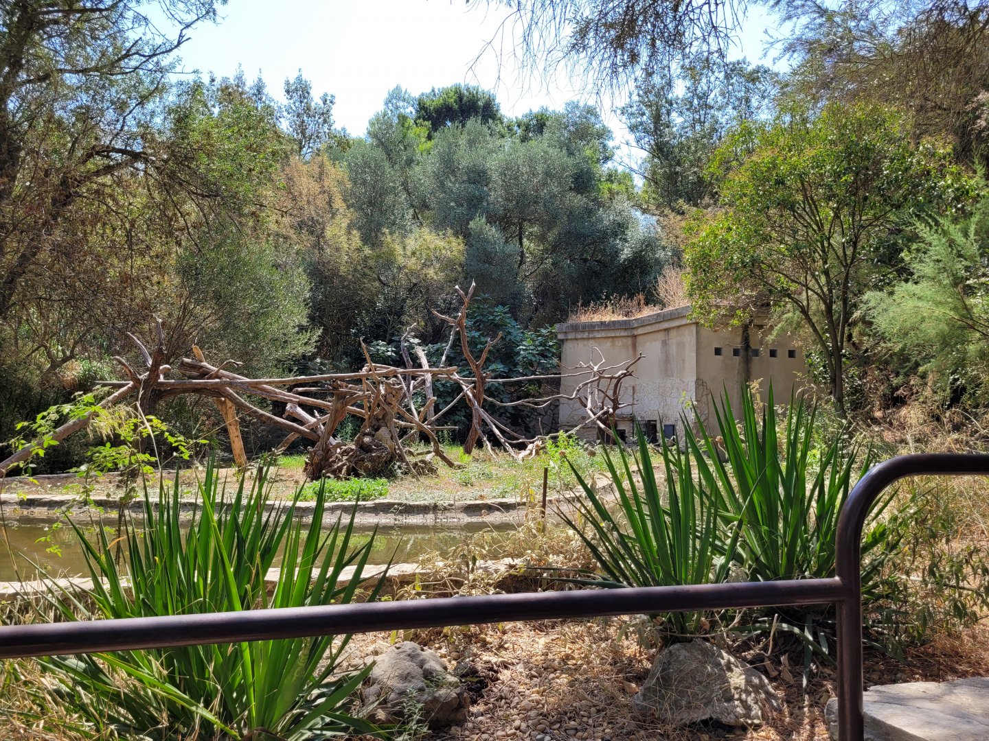 Blue-and-gold, Scarlet, Military and Green-winged macaw exhibit -Réserve Africaine de Sigean (2022)