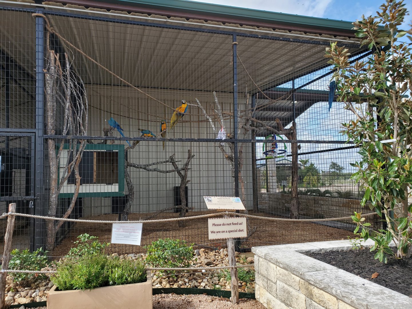 Blue-and-yellow Macaw and Greater Vasa Parrot Enclosure