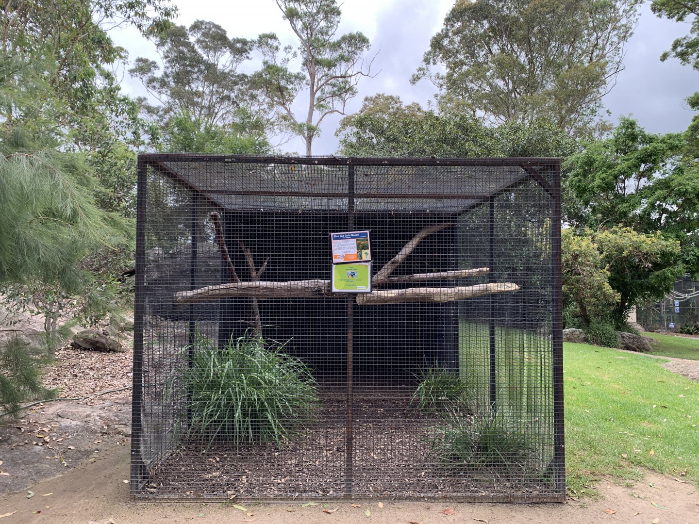 Blue-and-yellow Macaw Aviary