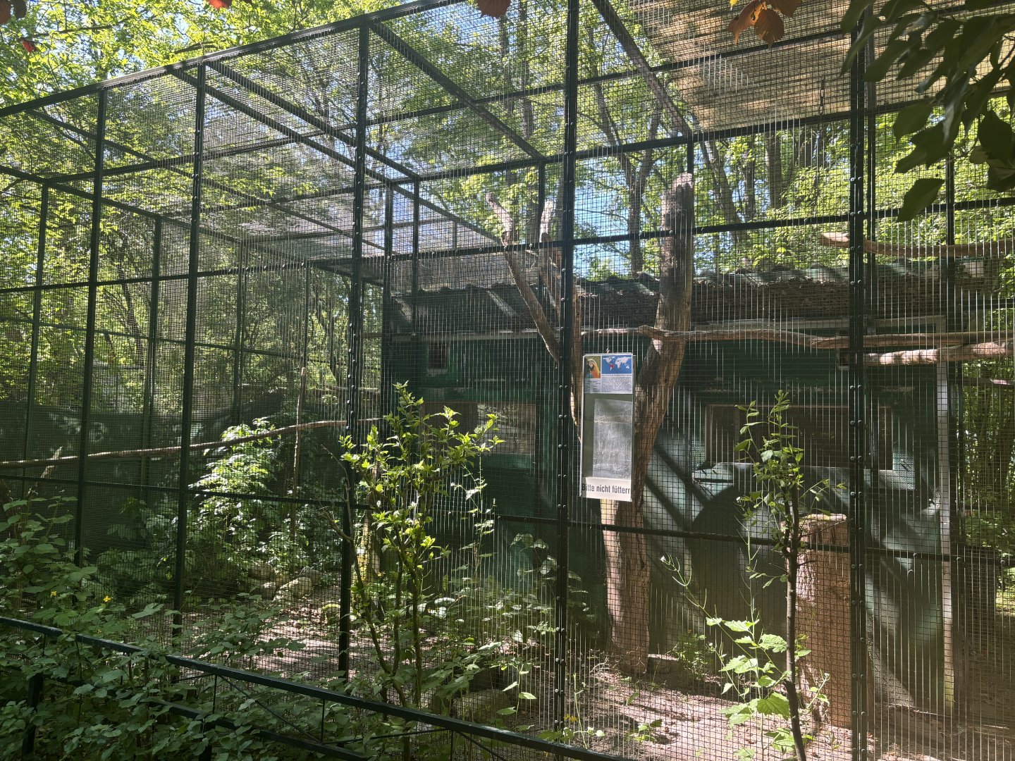 Blue and yellow Macaw enclosure