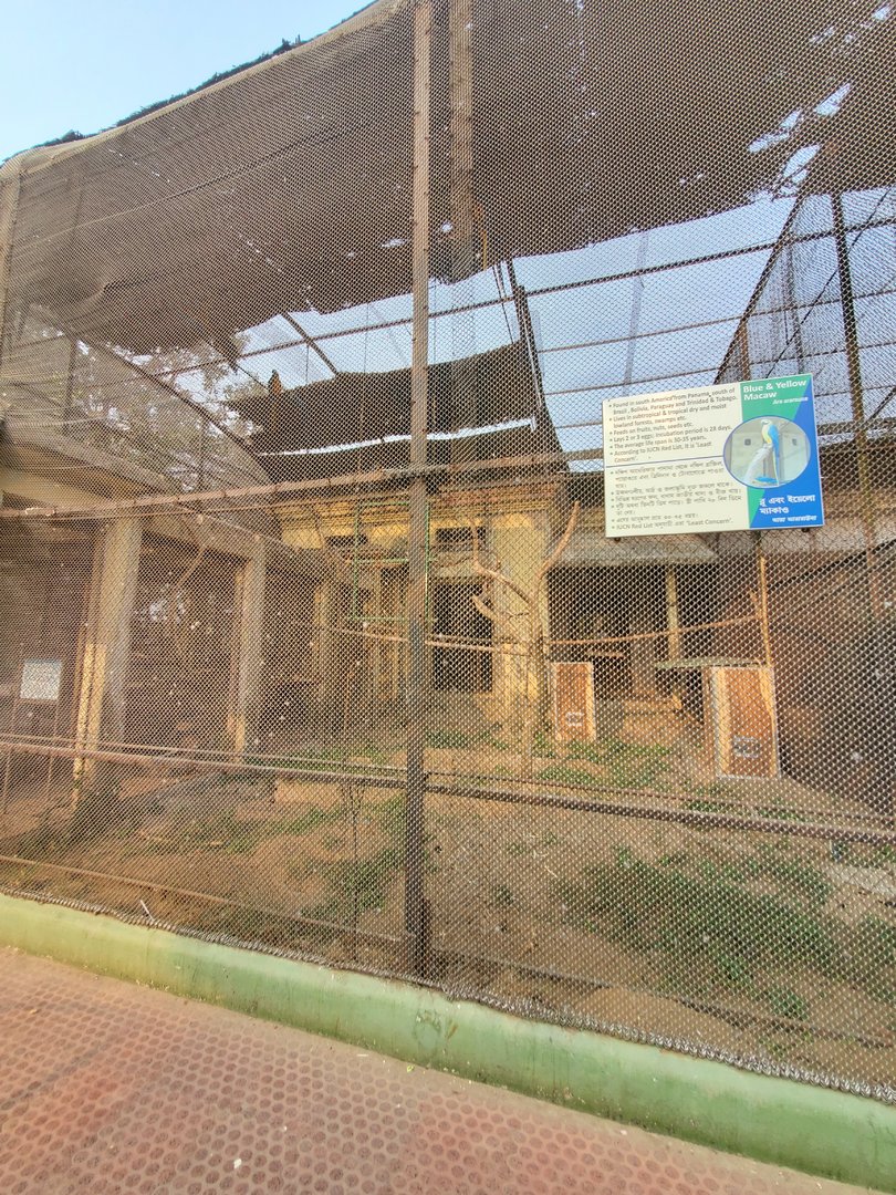 Blue and Yellow Macaw Exhibit  - January 2023