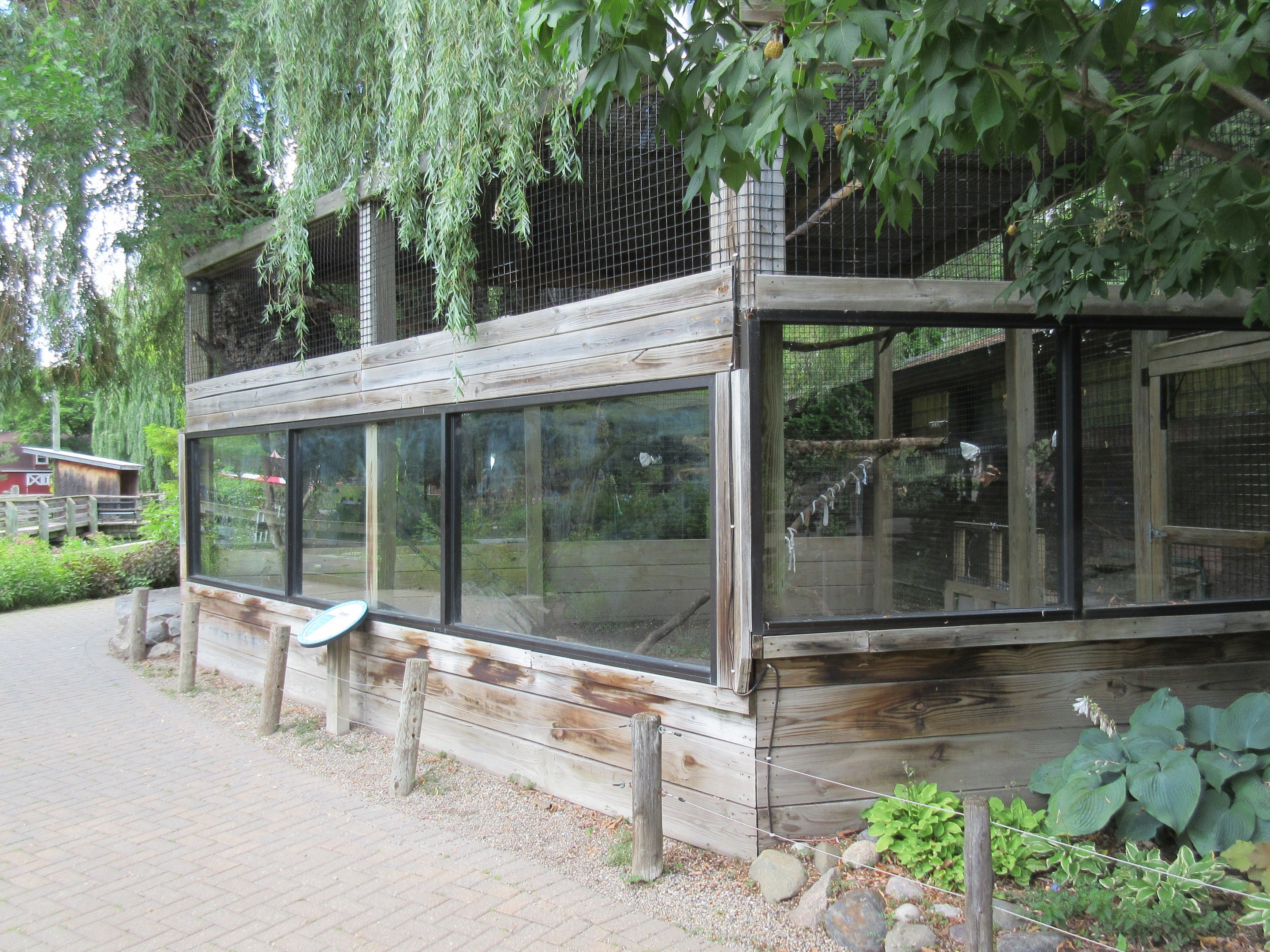 Blue-and-Yellow Macaw Exhibit