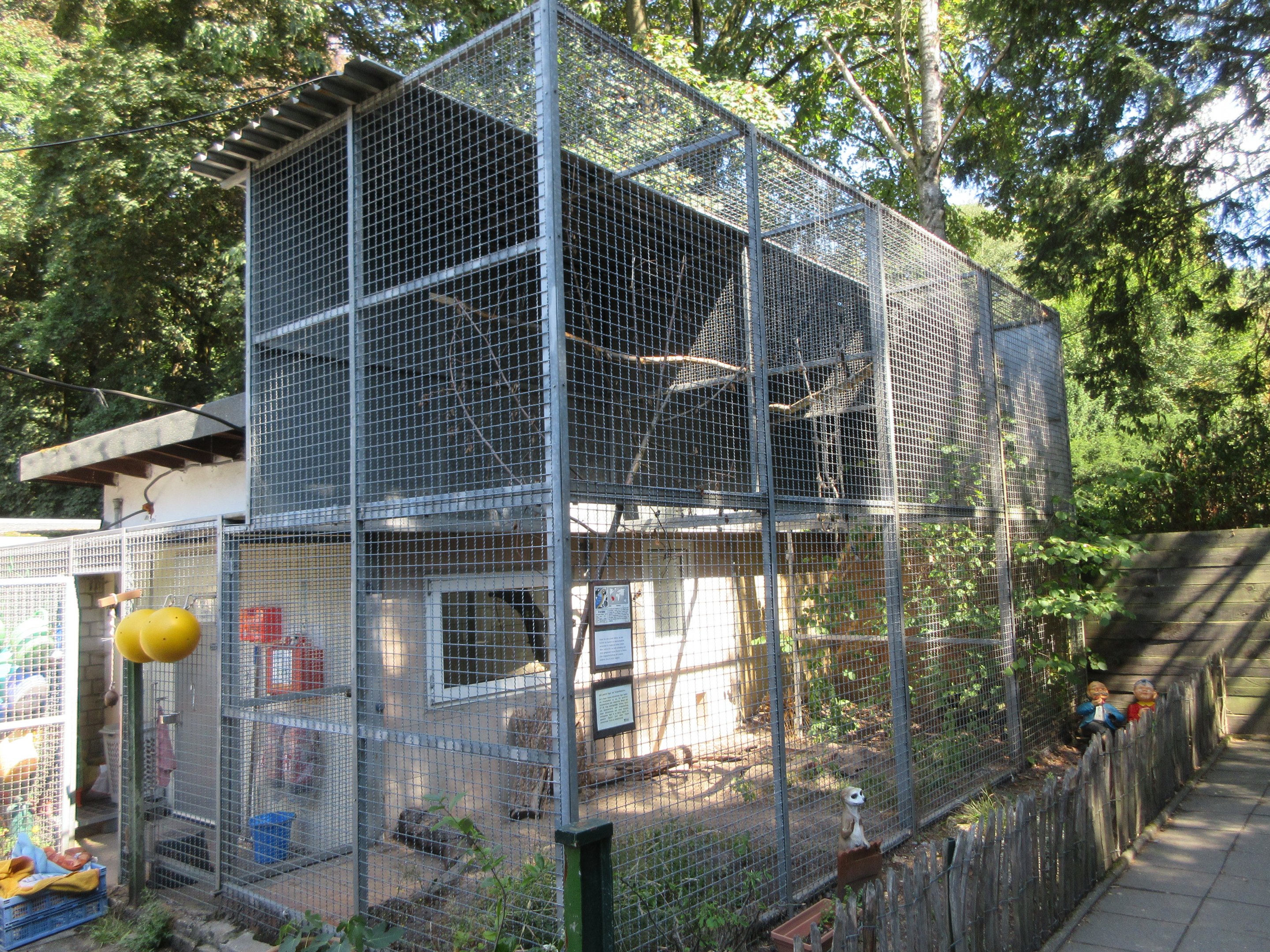 Blue and Yellow Macaw Exhibit