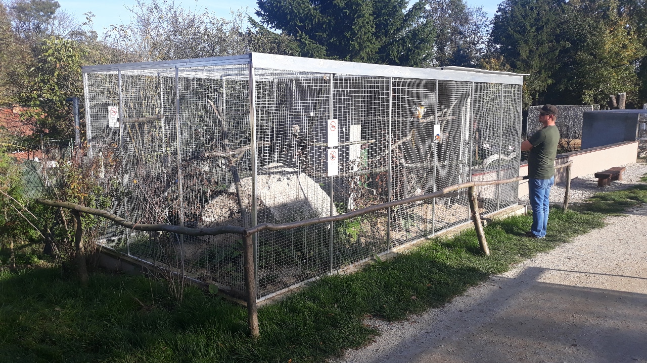 Blue-and-yellow macaw exhibit