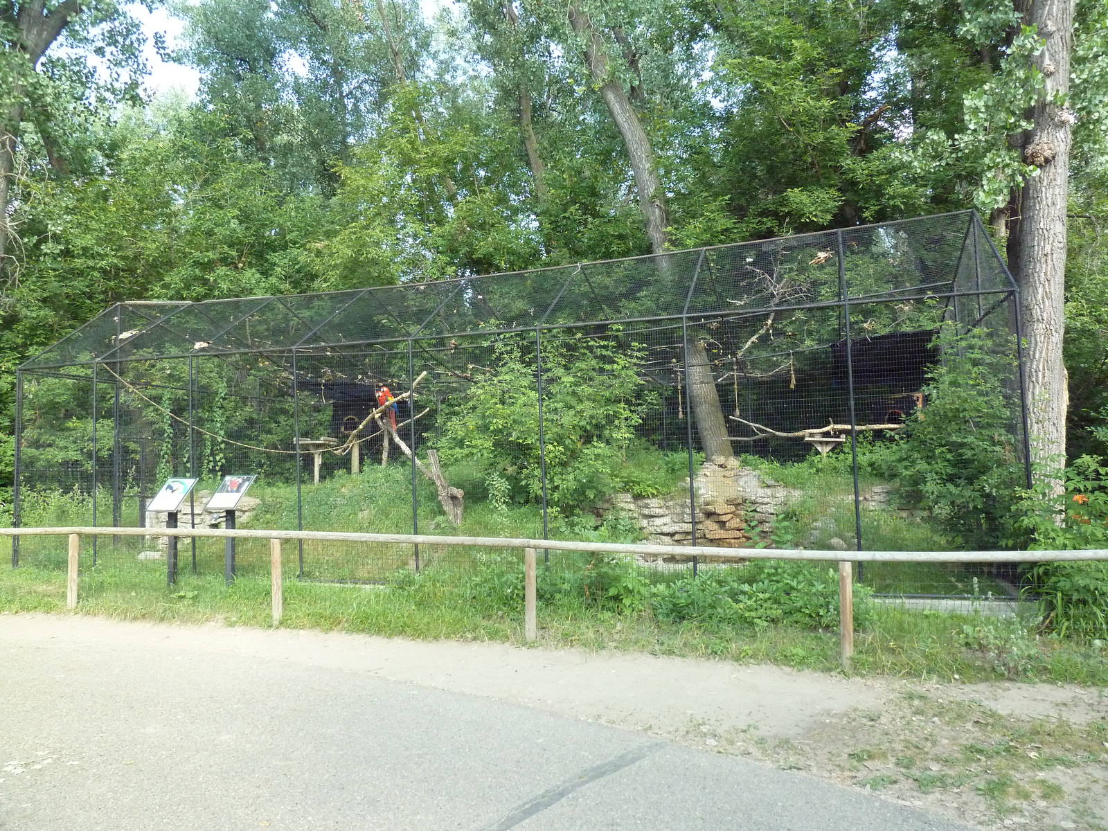 Blue-and Yellow Macaw/Scarlet Macaw Exhibit
