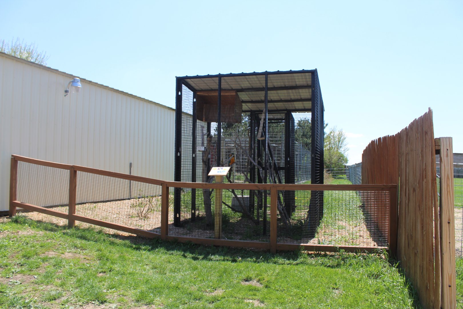 Blue and Yellow Winged Macaw Exhibit