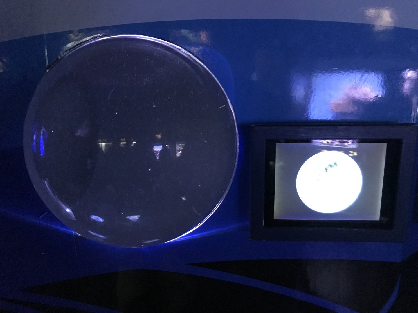 Blue blubber jelly(?) exhibit