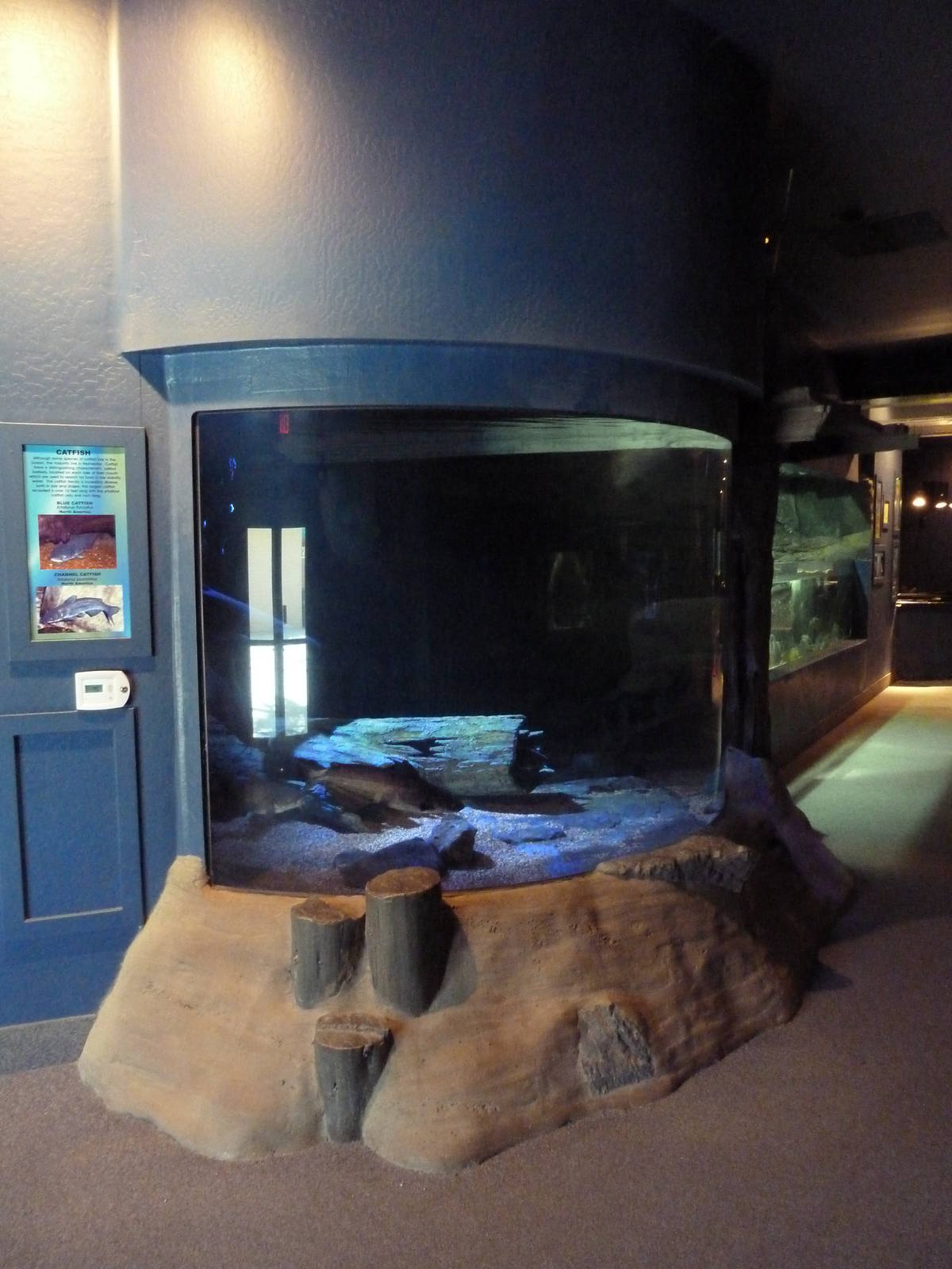 Blue Catfish/Channel Catfish Exhibit