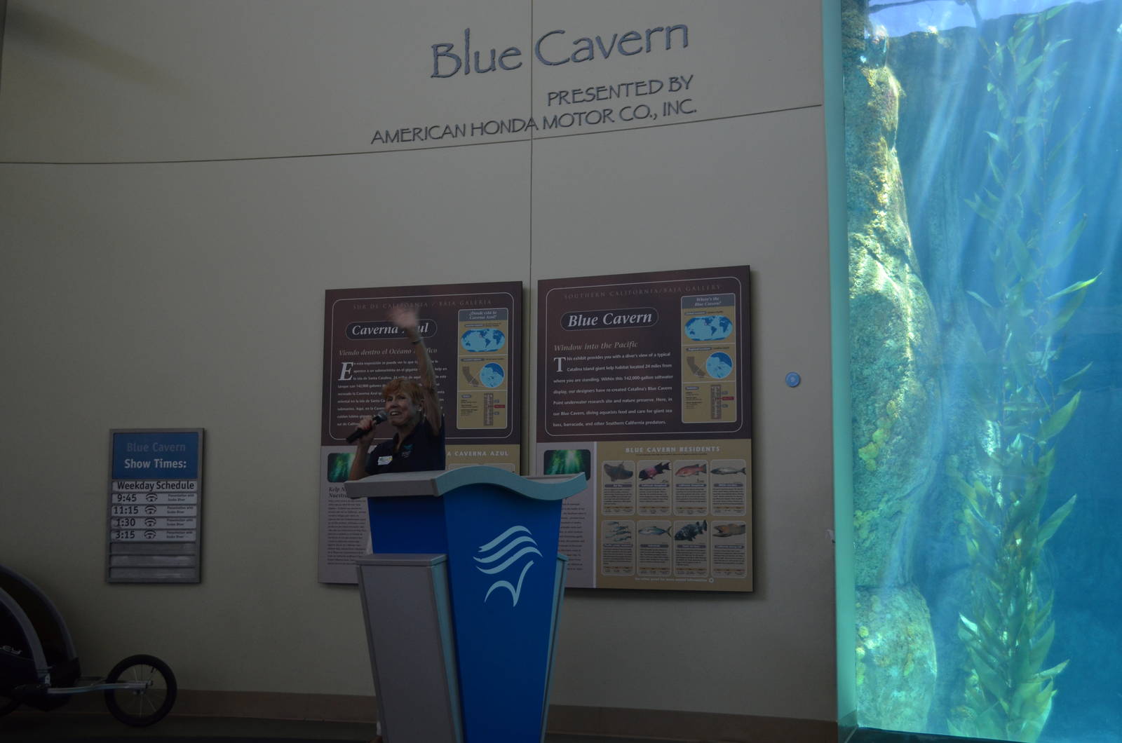 Blue Cavern Diving, Feeding, Question and Answer Presentation