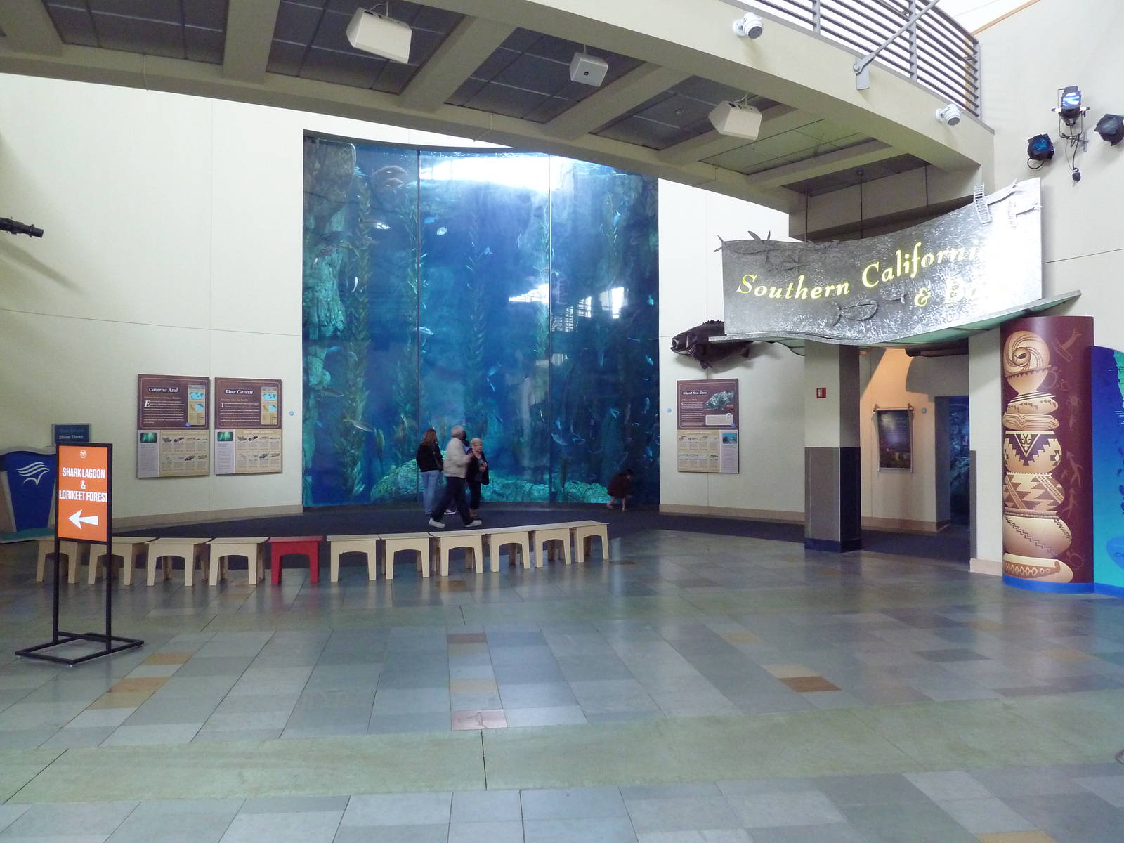 Blue Cavern - Kelp Forest Exhibit