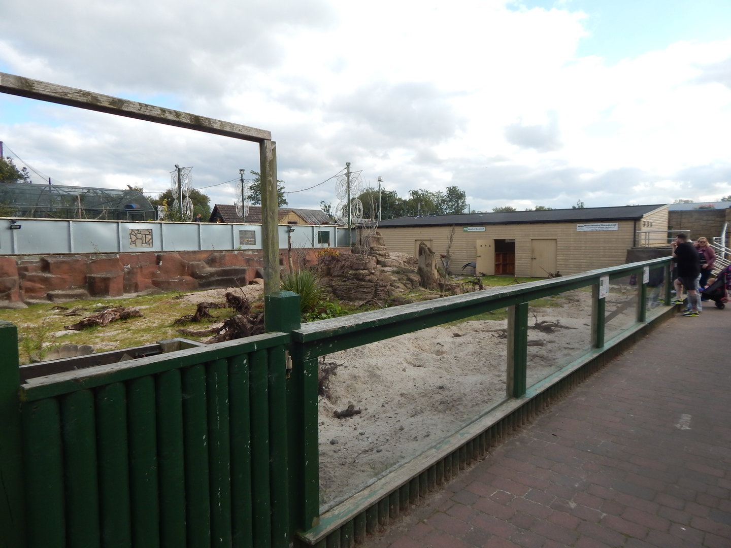 Blue crane and Meerkat enclosure 200922