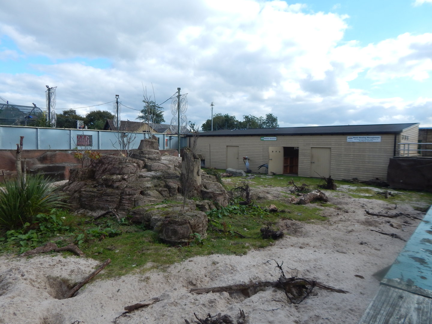 Blue crane and Meerkat enclosure 200922