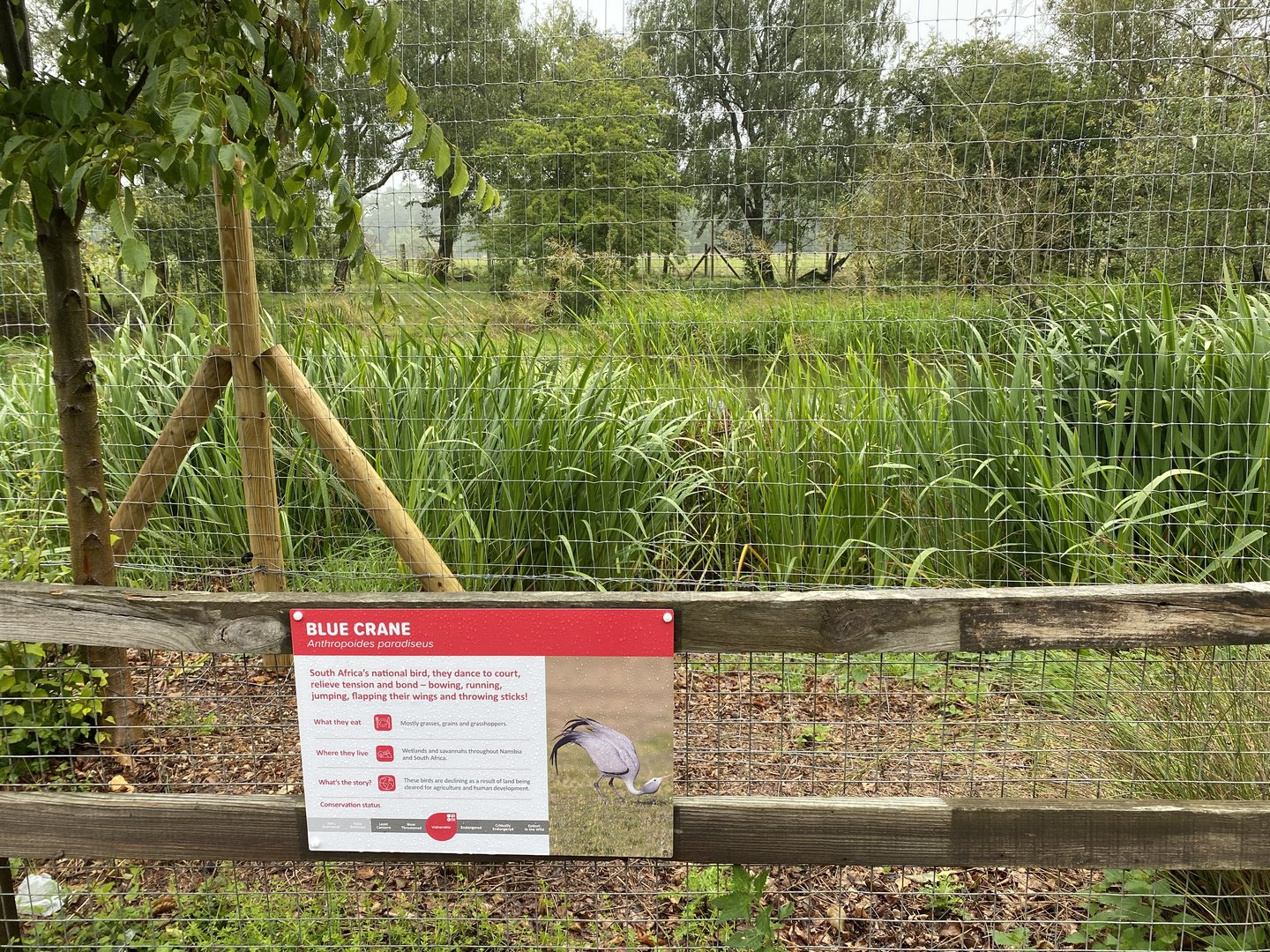 Blue crane and white stork enclosure - signage