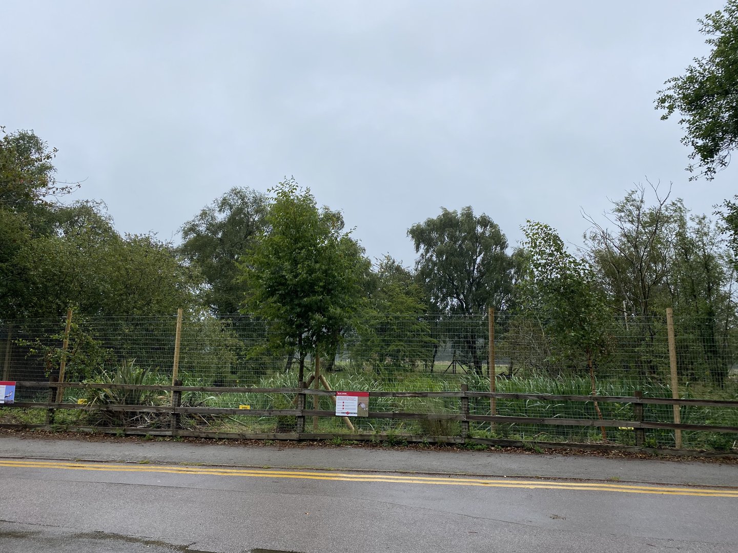 Blue crane and white stork enclosure