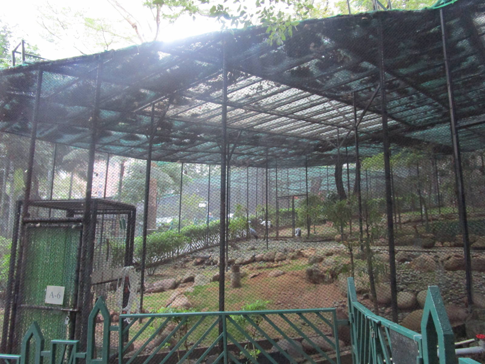 Blue Crane Aviary