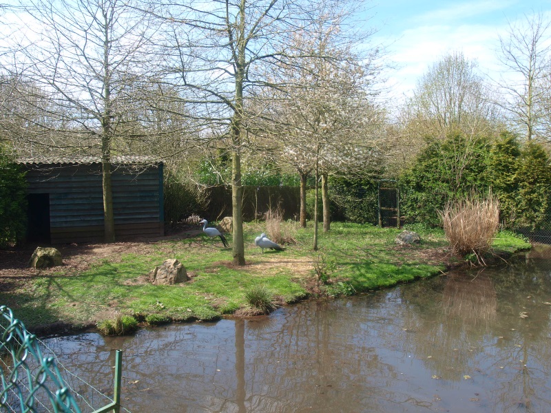 Blue crane enclosure (April 19th, 2015)