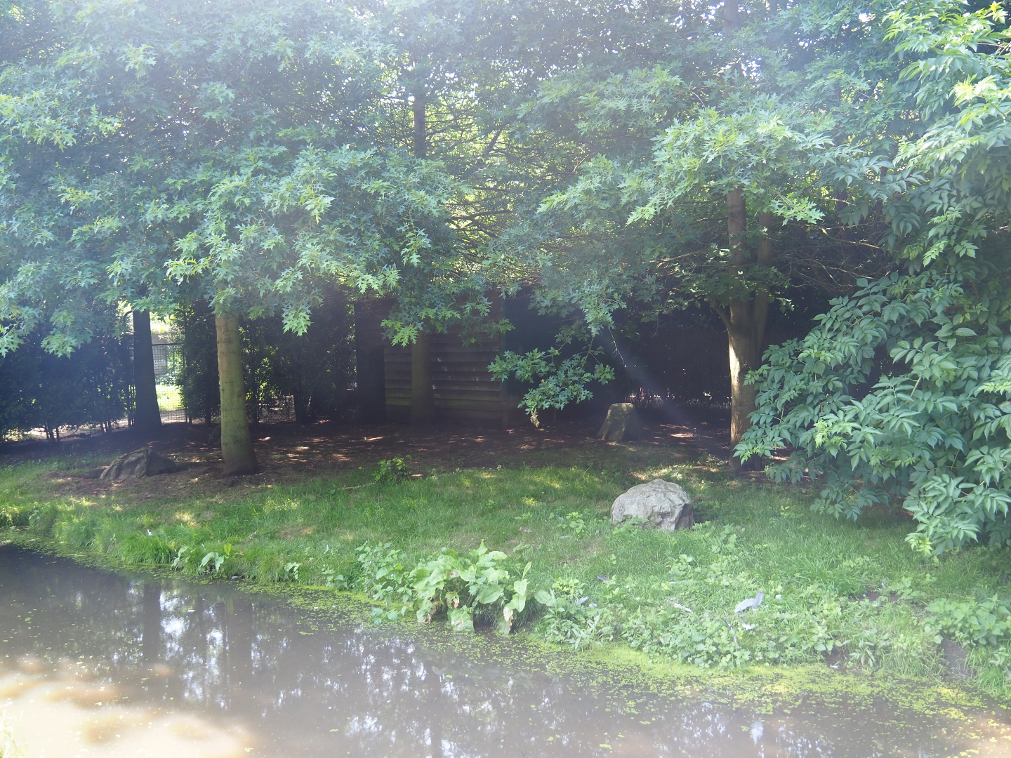 Blue crane exhibit, 2019-08-04