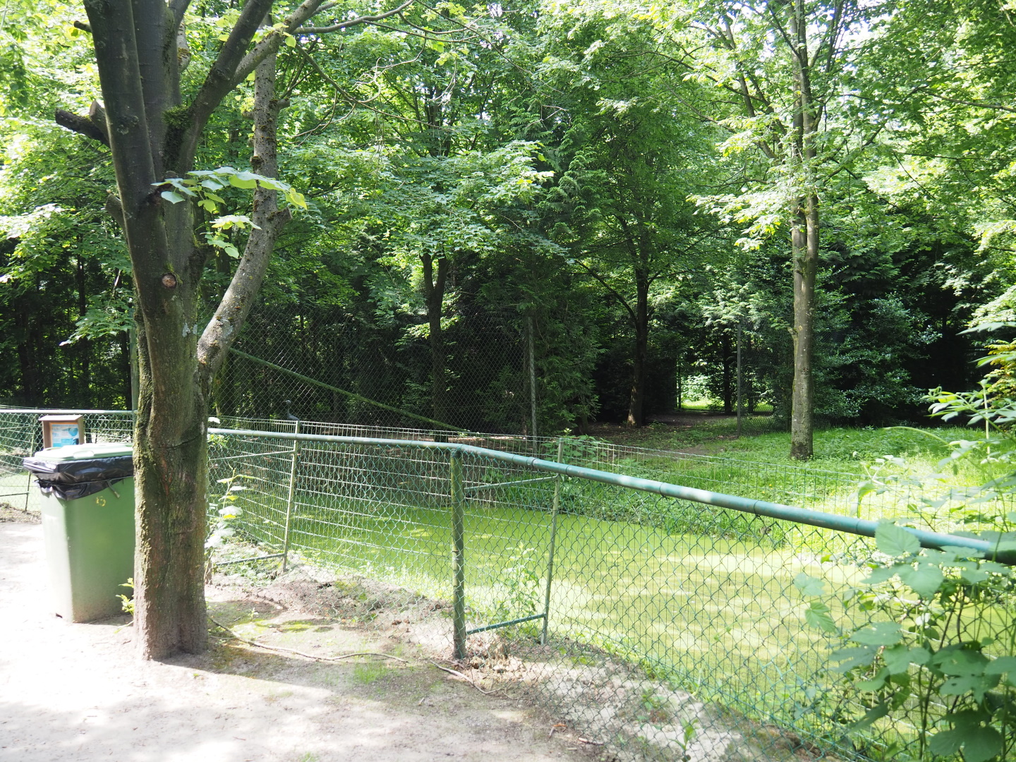 Blue crane exhibit, 2021-06-15