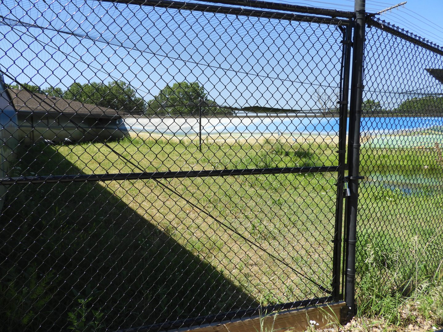 Blue Crane exhibit - Spirit of Africa