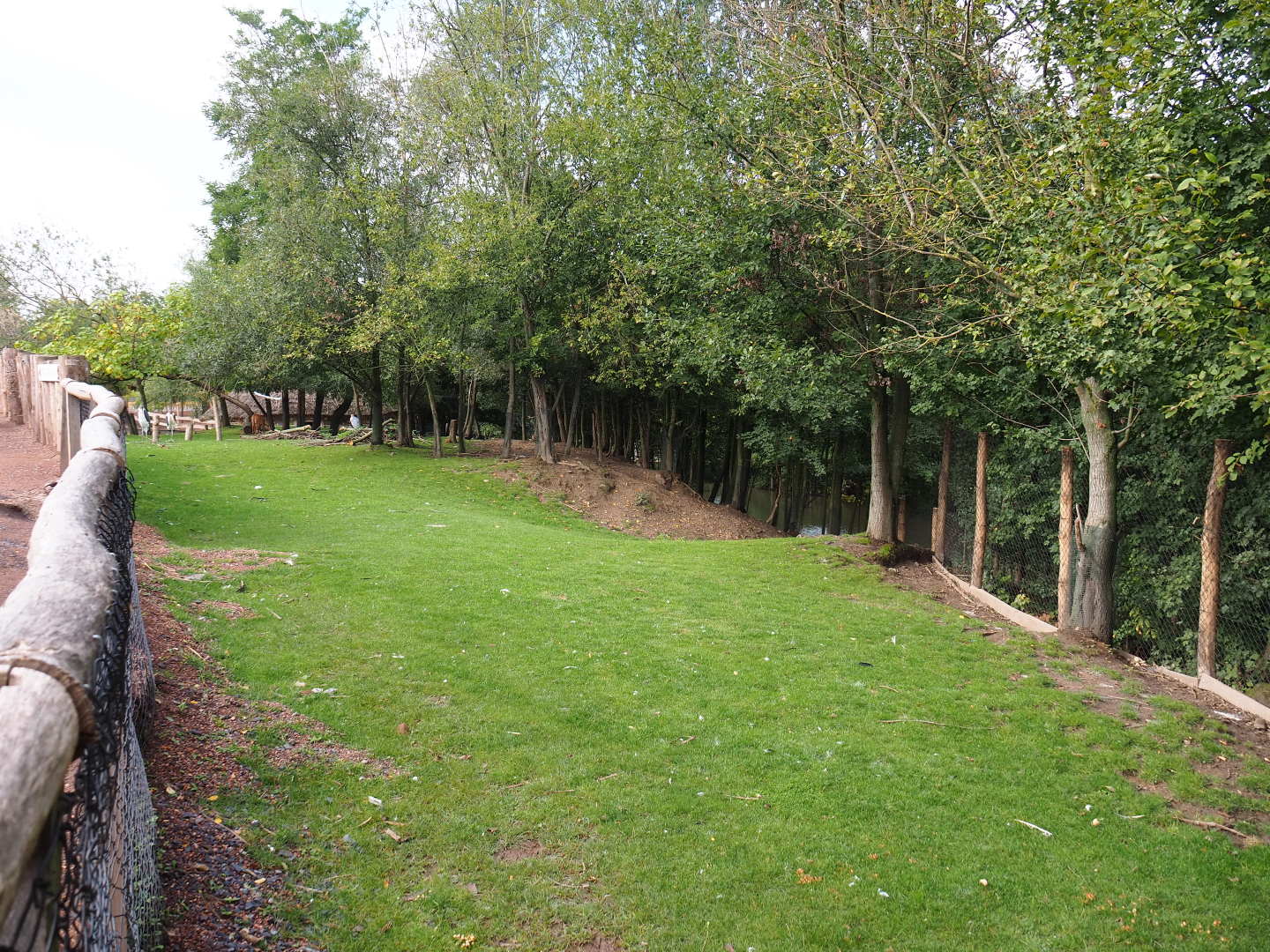 Blue crane, marabou and western sitatunga exhibit, 2019-10-04