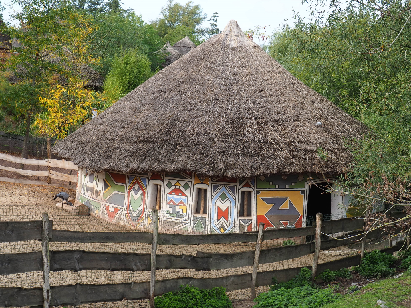 Blue crane, marabou and western sitatunga stable, 2019-10-04