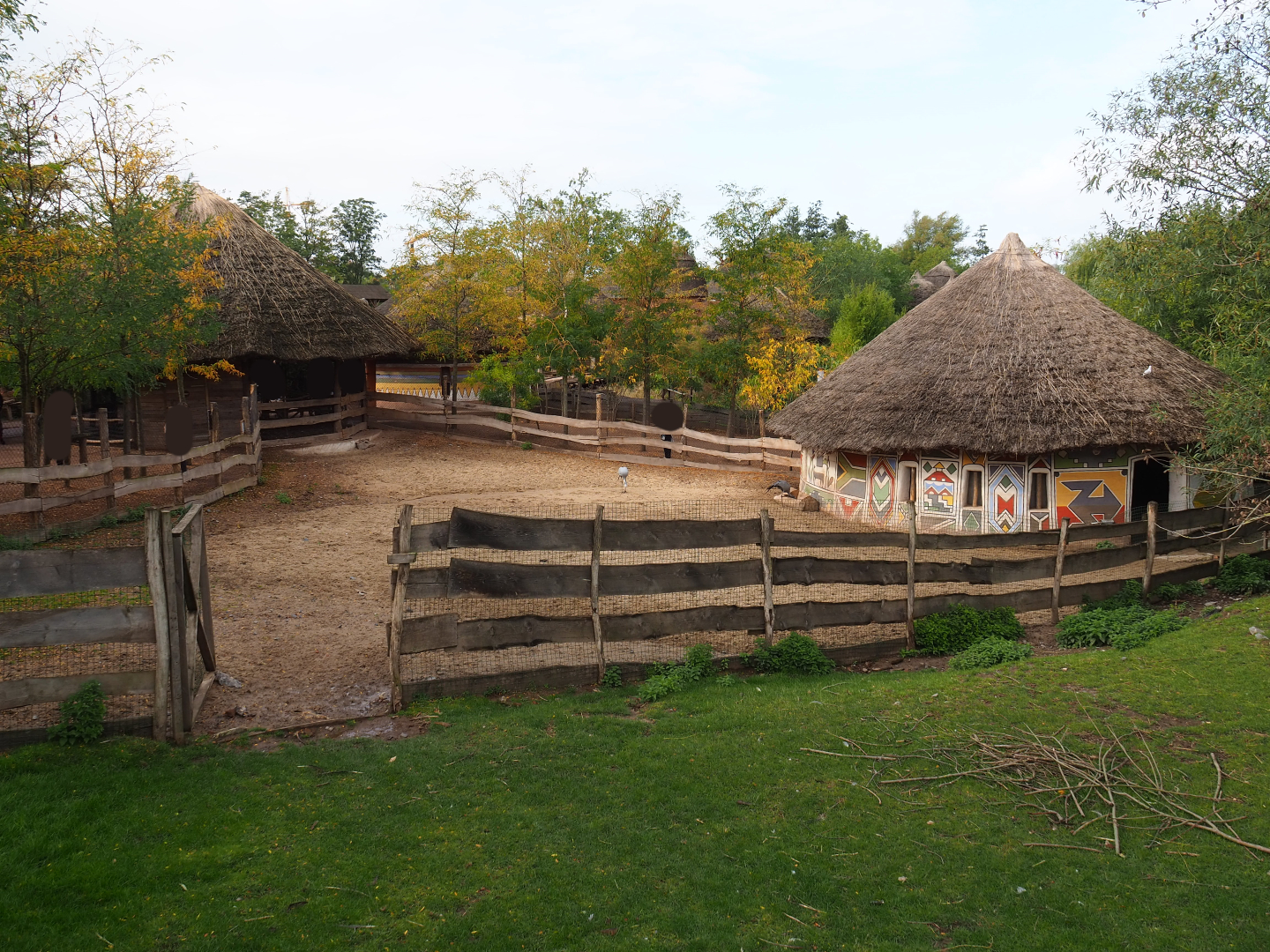 Blue crane, marabou and western sitatunga stable and separation paddock, 2019-10-04