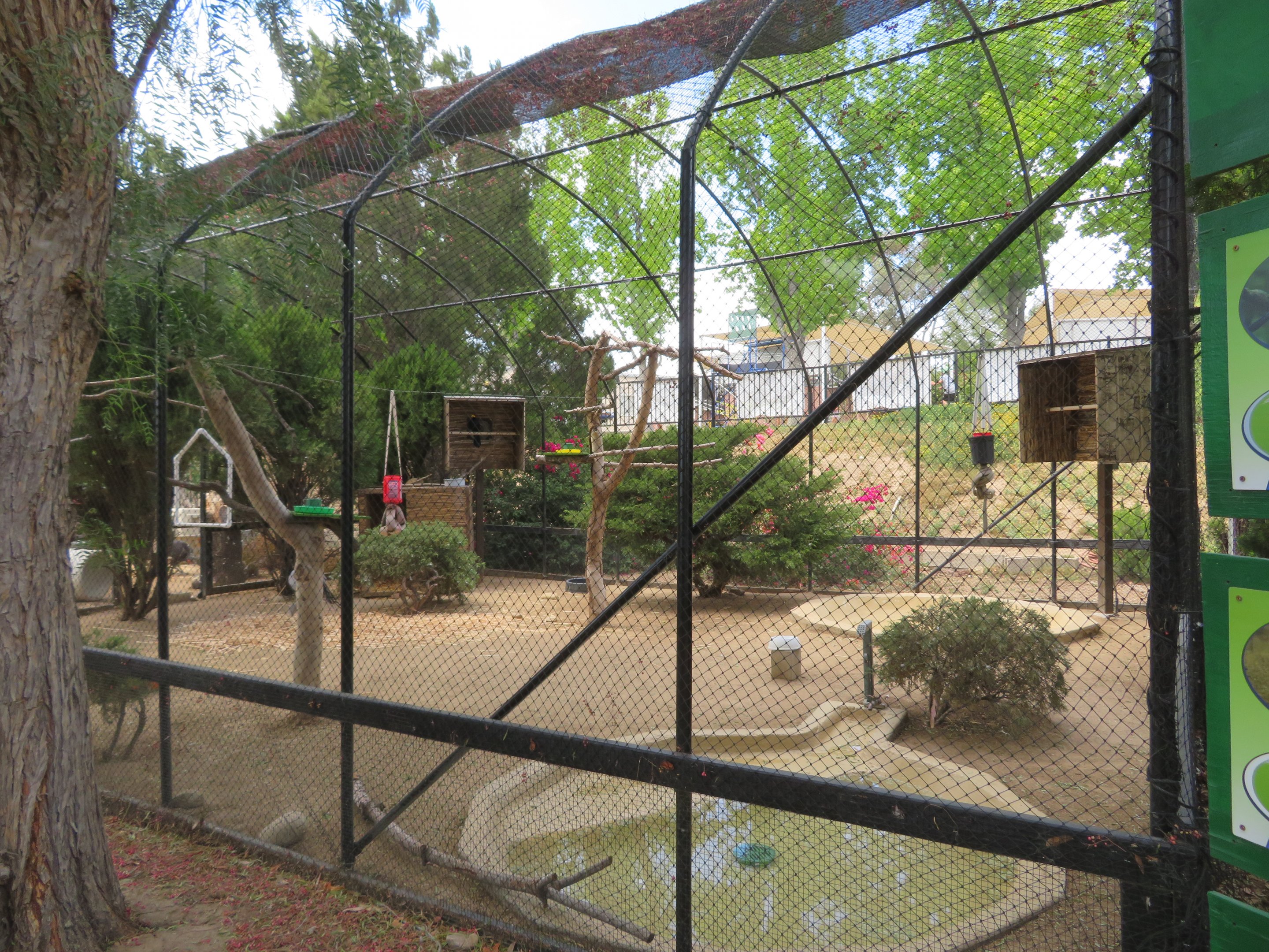 Blue Crane/Turaco Aviary