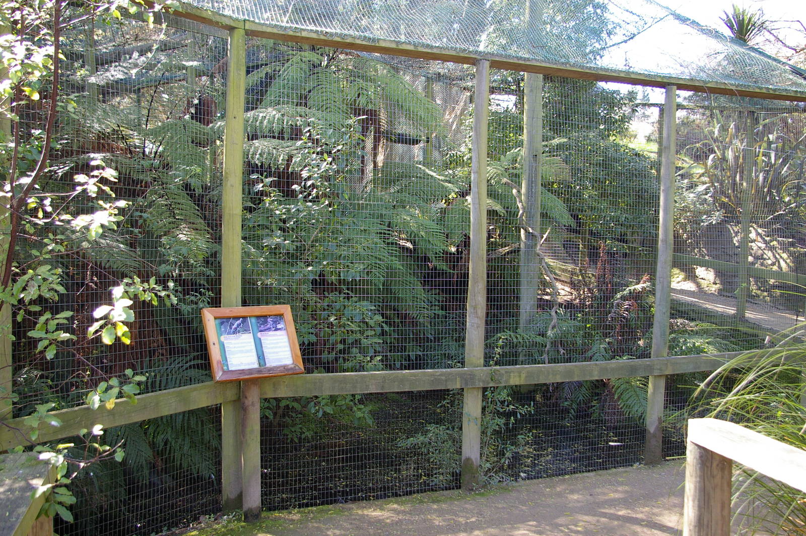 blue duck aviary