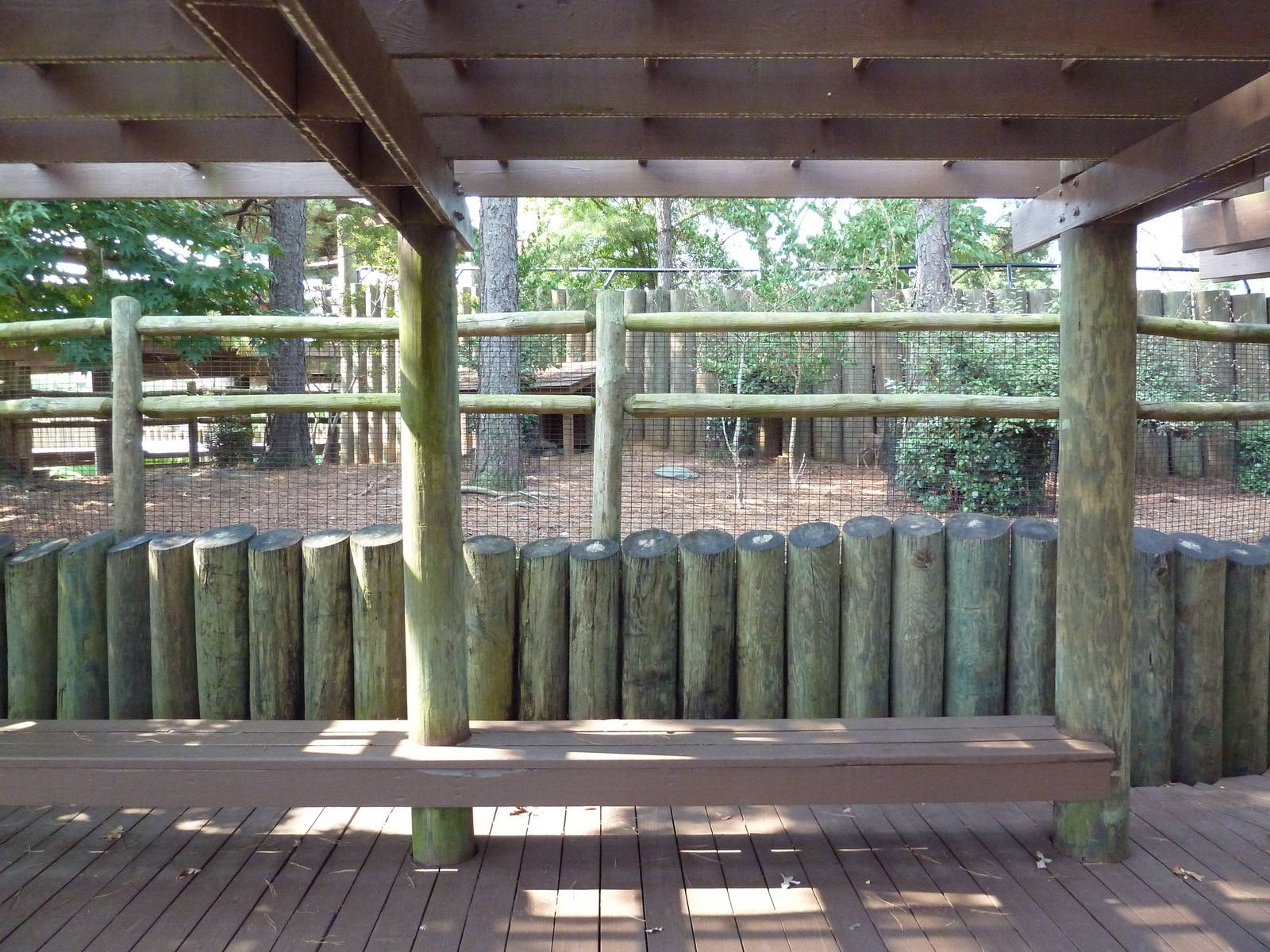 Blue Duiker/Gunther's Dik-Dik Exhibit