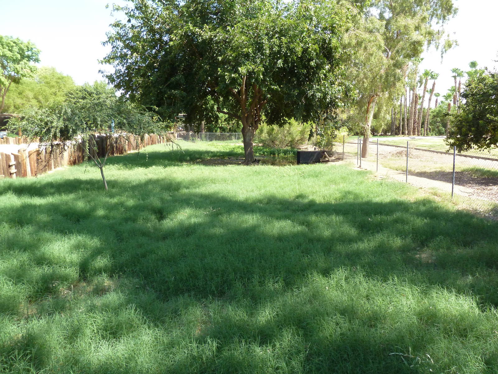 Blue Duiker/Gunther's Dik-Dik Exhibit
