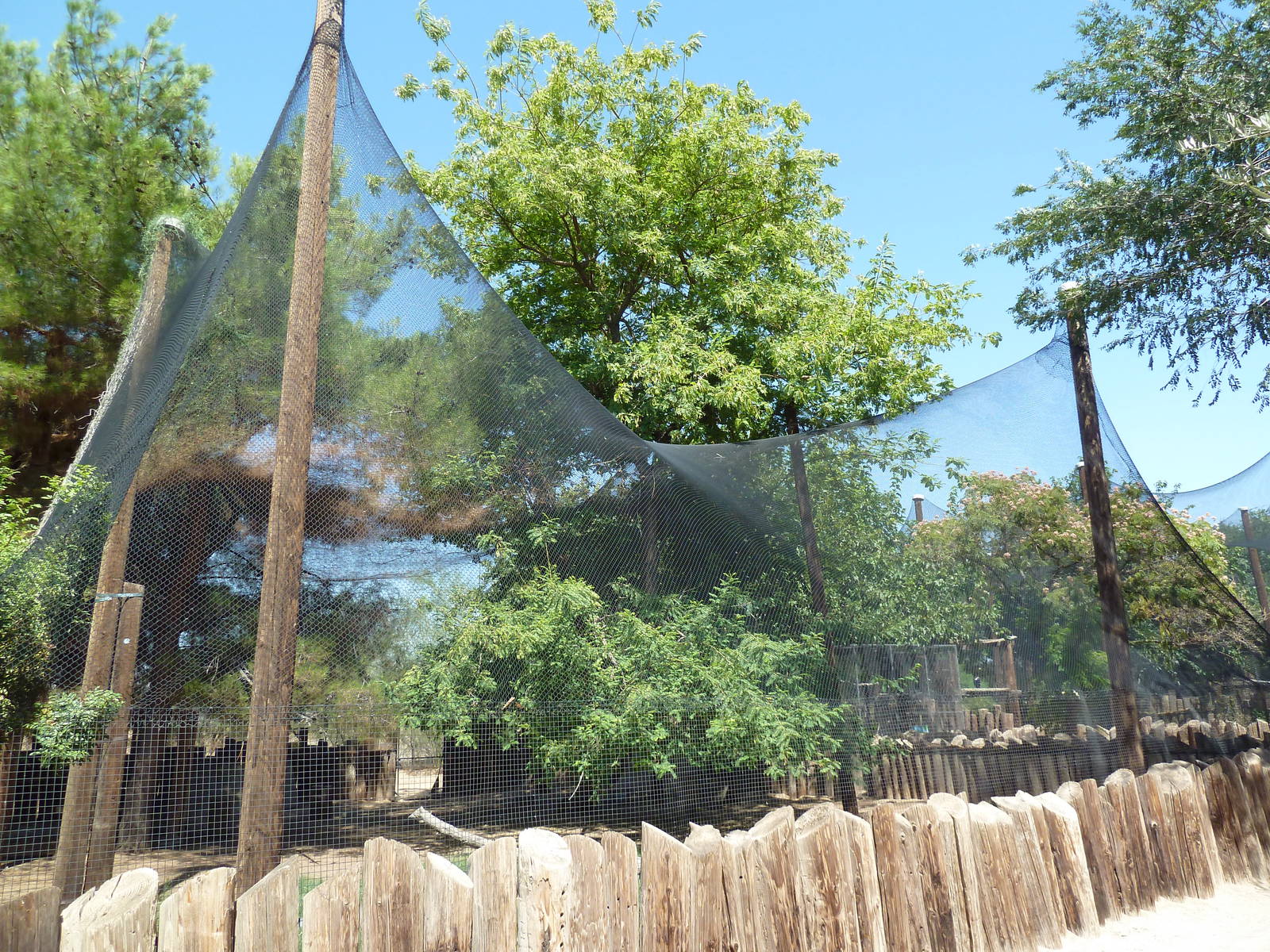 Blue Duiker/Saddle-Billed Stork/Vulturine Guinea Exhibit