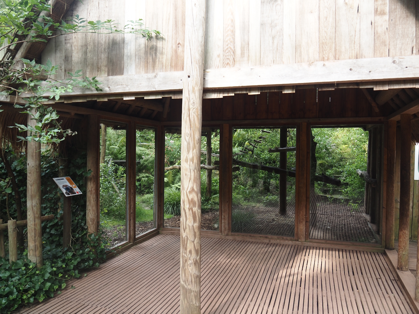 Blue-eyed black lemur exhibit and viewing area, 2024-08-18