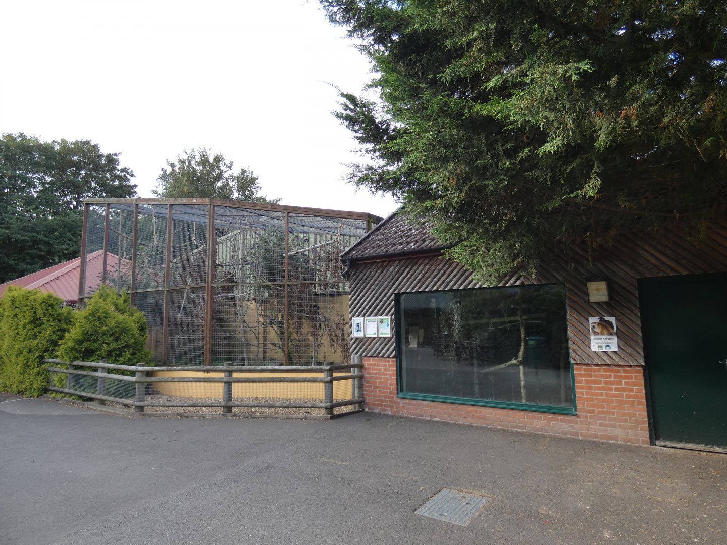 Blue-eyed black lemur house and enclosure