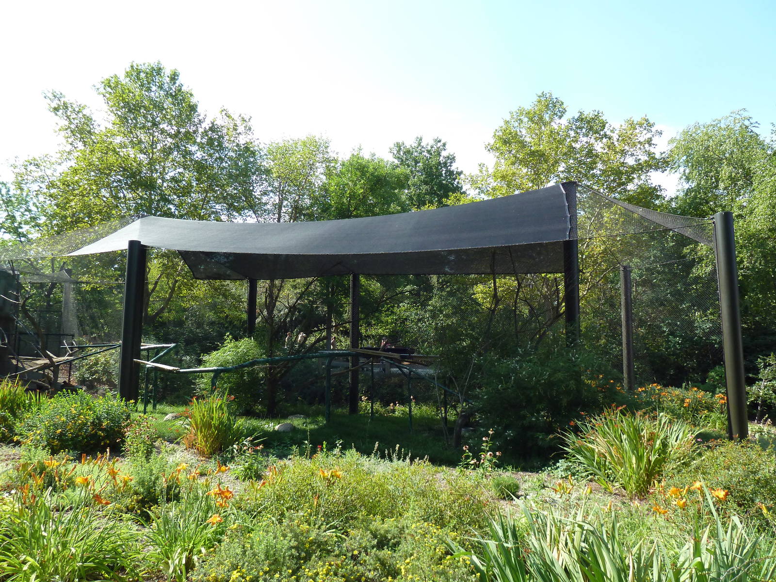Blue-Eyed Black Lemur/Red Ruffed Lemur Exhibit