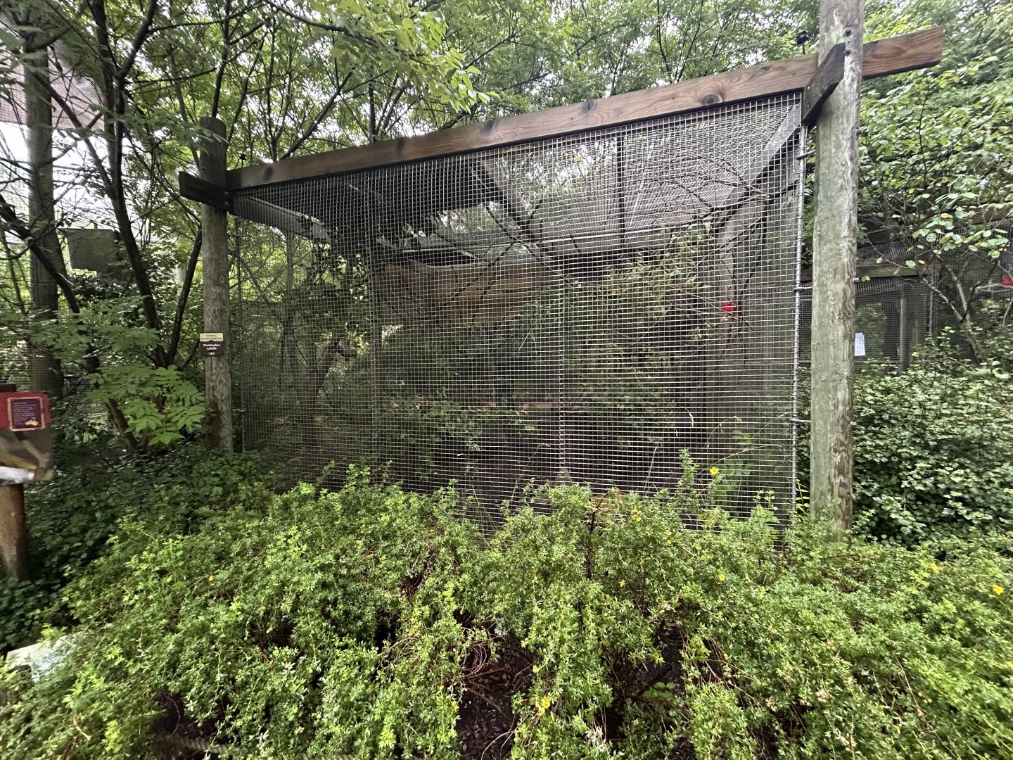 Blue-faced Honeyeater Aviary - Australian Adventure